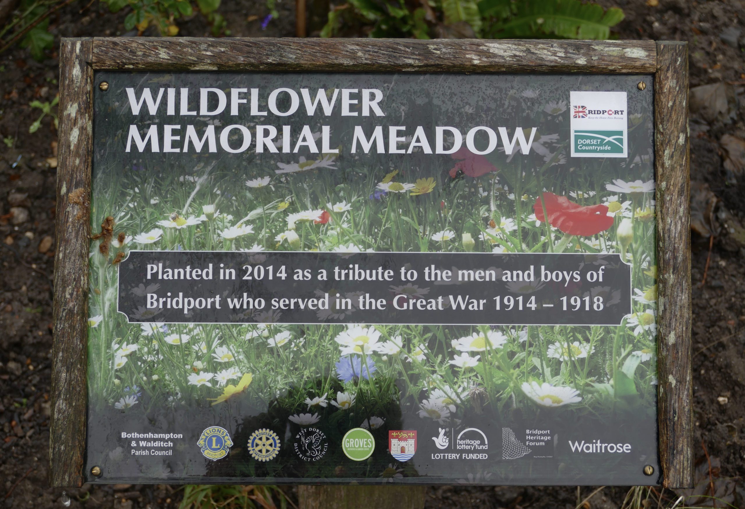 A New Home For The Bridport Memorial Wild Flower Meadow