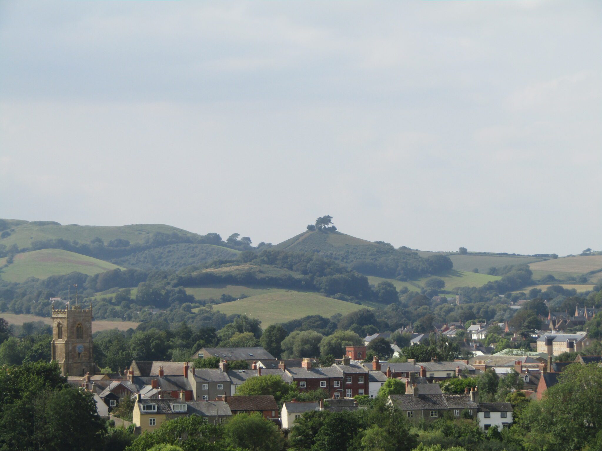 Bridport Area Census Profile Bridport Town Council