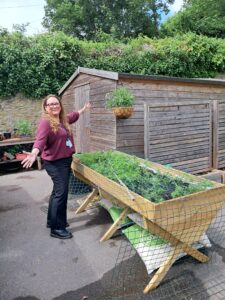 Cowshed Allotment