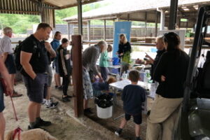 Discover Farming Sunday @ Denhay Farm