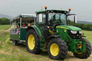 Discover Farming Sunday @ Denhay Farm