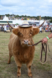 Melplash Show