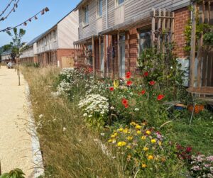 Hazelmead Cohousing