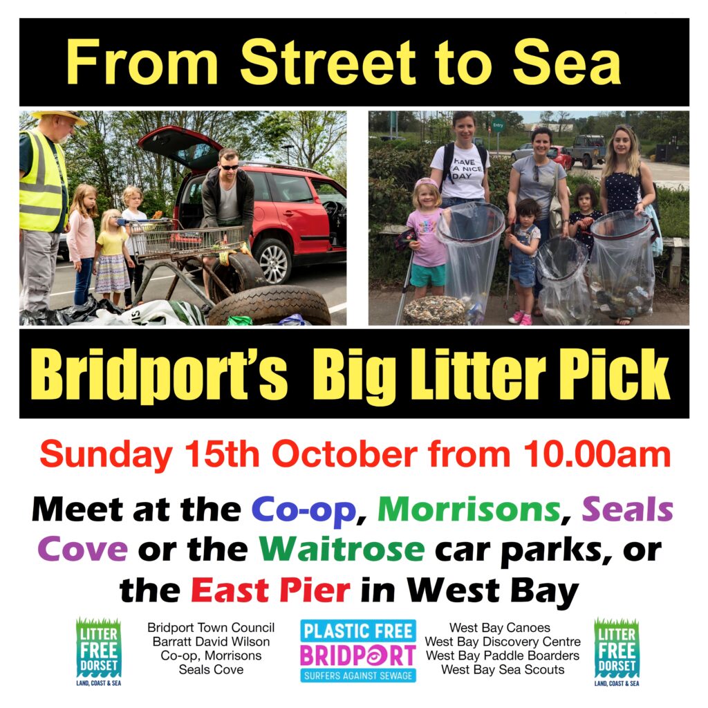 Bridport's Big Litter Pick